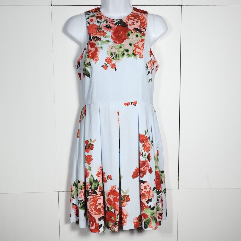 Gianni Bini Womens Size XS Sleeveless Blue Floral Pleated Lined Dress